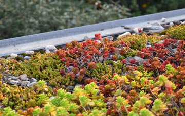 the cost of Great Kingshill green roof installation
