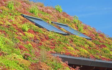 Great Kingshill living roof systems