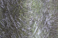 Great Kingshill fibreglass roof work